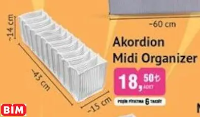 AKORDİON MİDİ ORGANİZER